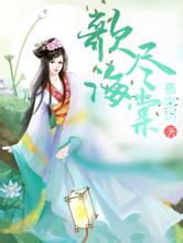 2024年天天开好彩大全美女公寓全文阅读